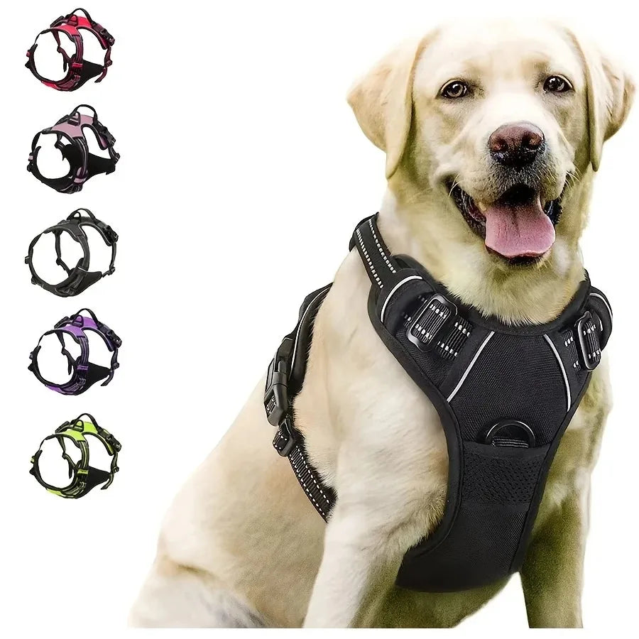 Dog Collars, Harnesses & Vests - Pet Shop