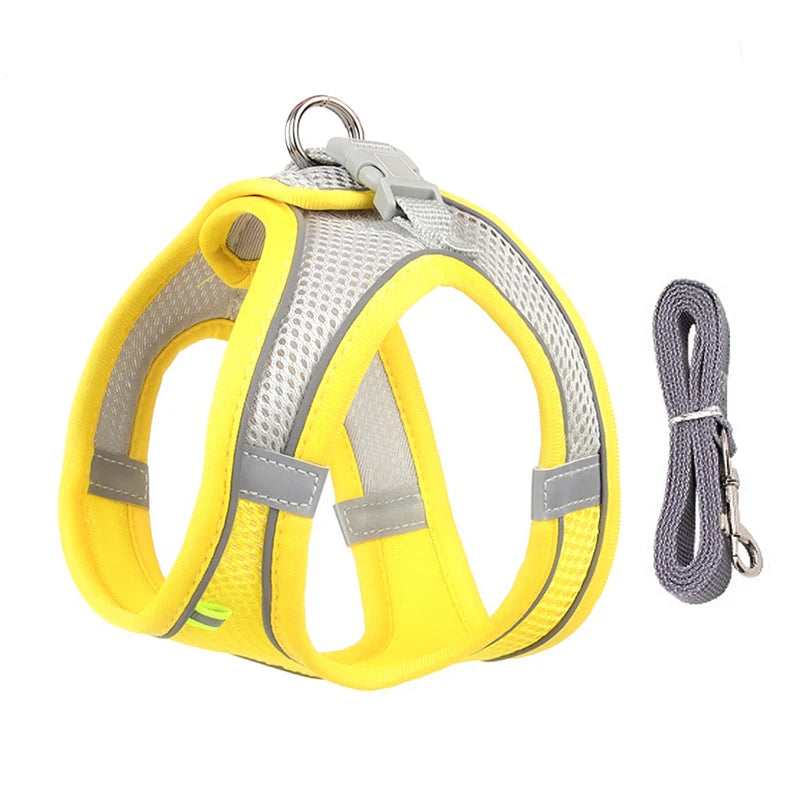 Dog Harness and Leash Set for Small Dogs