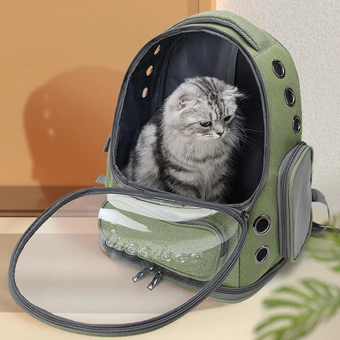 Eco-Friendly Transparent Cat Carrier Backpack - Stylish & Breathable Travel Companion