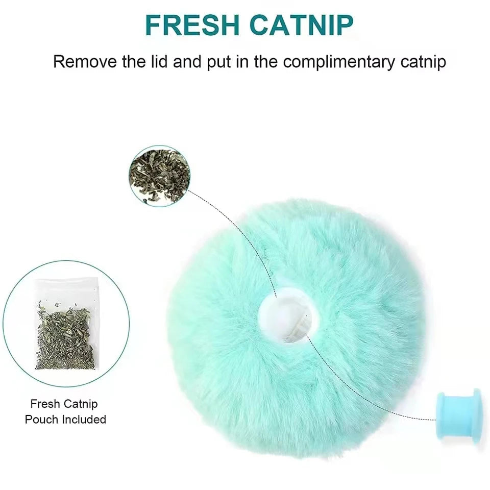 Interactive Plush Cat Toy Ball with Sound