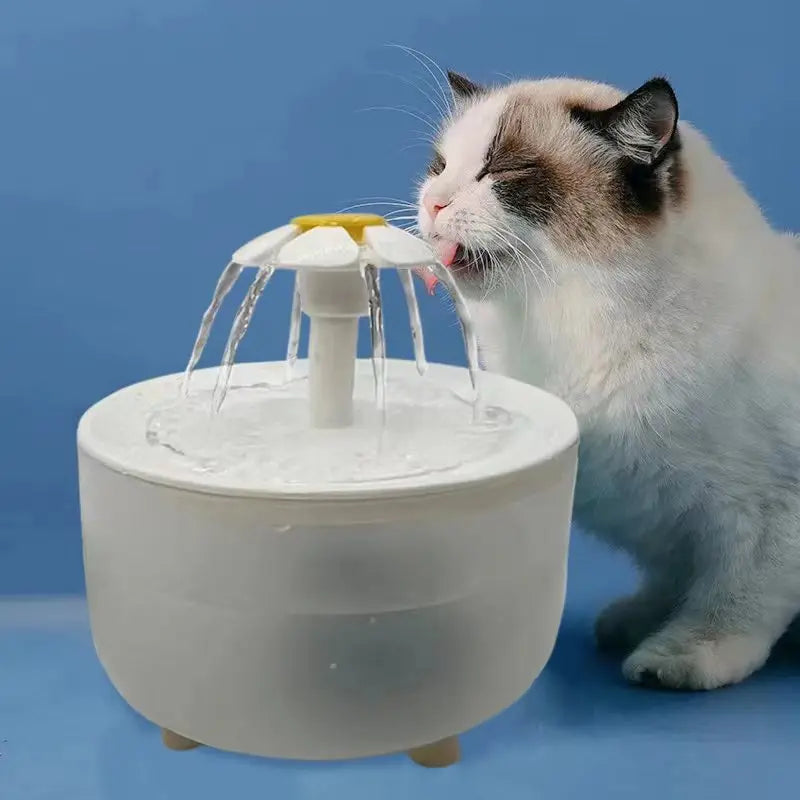 USB Auto Filtered Water Fountain for Cats