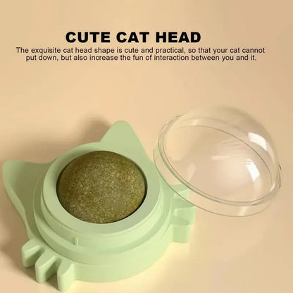 Catnip balls, snack and toy for cats