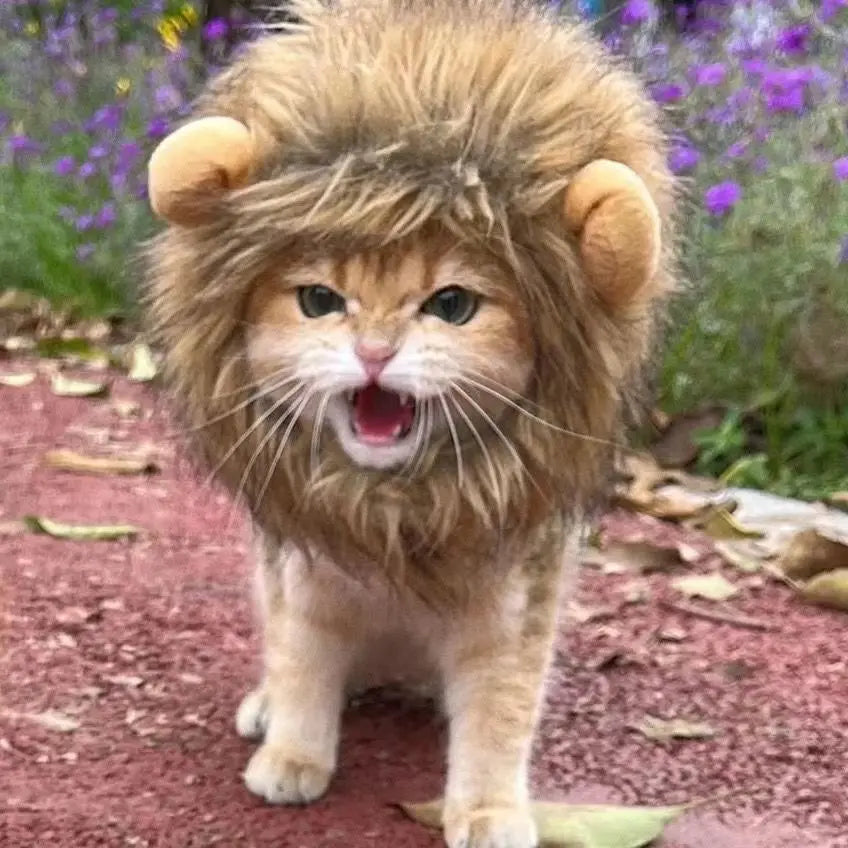 Cute Lion Mane Hat for Pets Cosplay