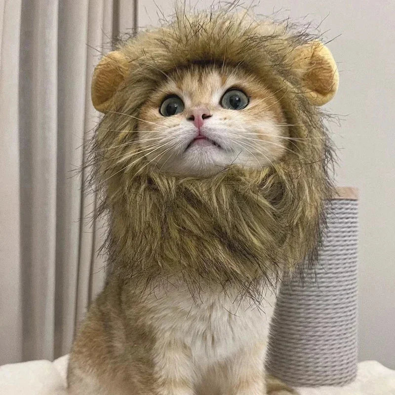 Cute Lion Mane Hat for Pets Cosplay