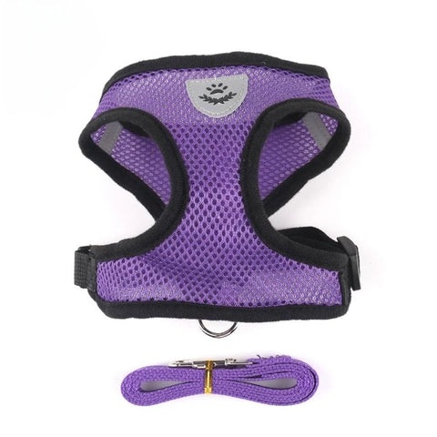 Adjustable Cat/Dog Harness with Leash