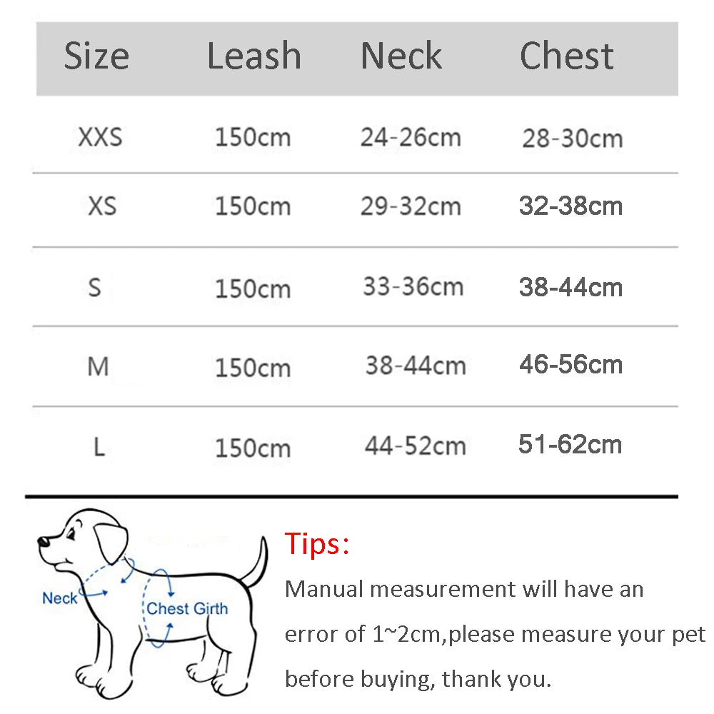 Dog Harness and Leash Set for Small Dogs