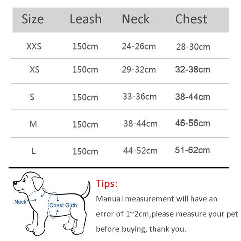 Dog Harness and Leash Set for Small Dogs