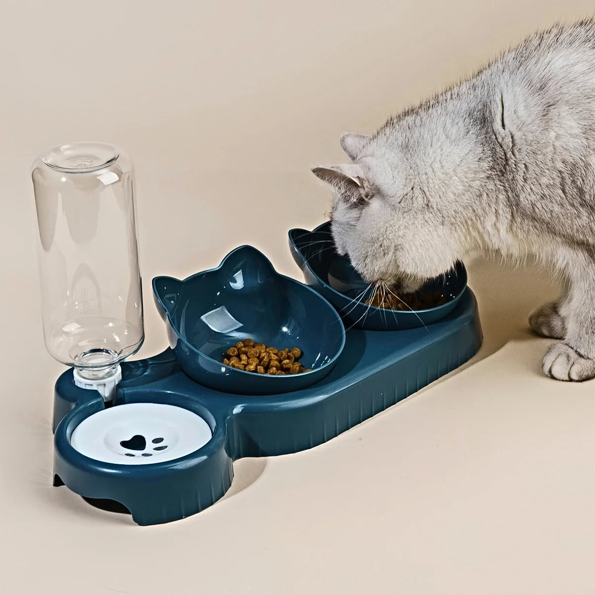 3-in-1 Tilted Cat Bowl Set with Feeder