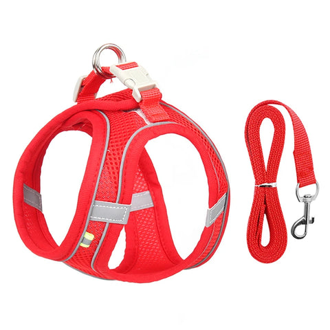 Dog Harness and Leash Set for Small Dogs