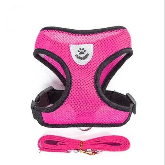 Adjustable Cat/Dog Harness with Leash