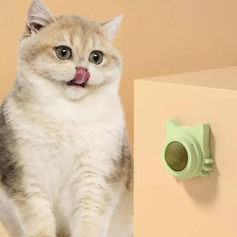 Catnip balls, snack and toy for cats