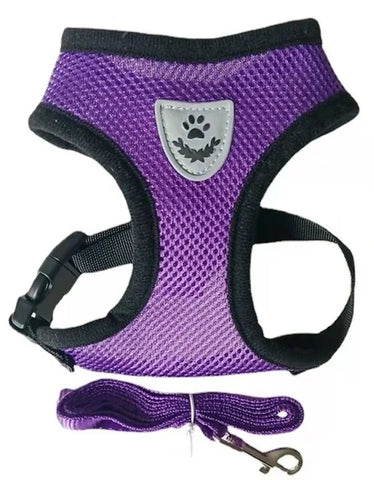 Adjustable Cat/Dog Harness with Leash