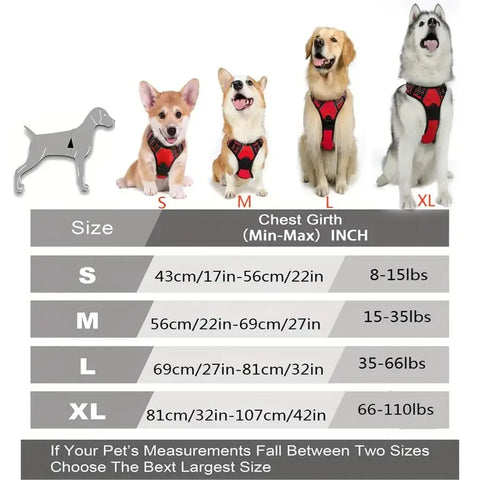 Dog Collars, Harnesses & Vests - Pet Shop