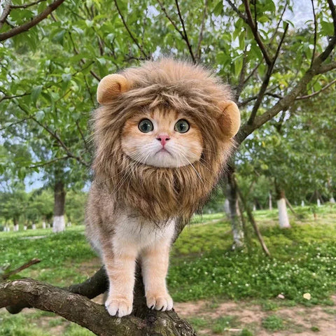 Cute Lion Mane Hat for Pets Cosplay