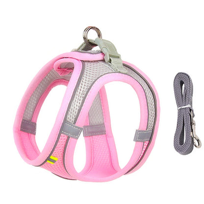 Dog Harness and Leash Set for Small Dogs