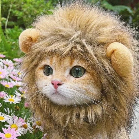 Cute Lion Mane Hat for Pets Cosplay