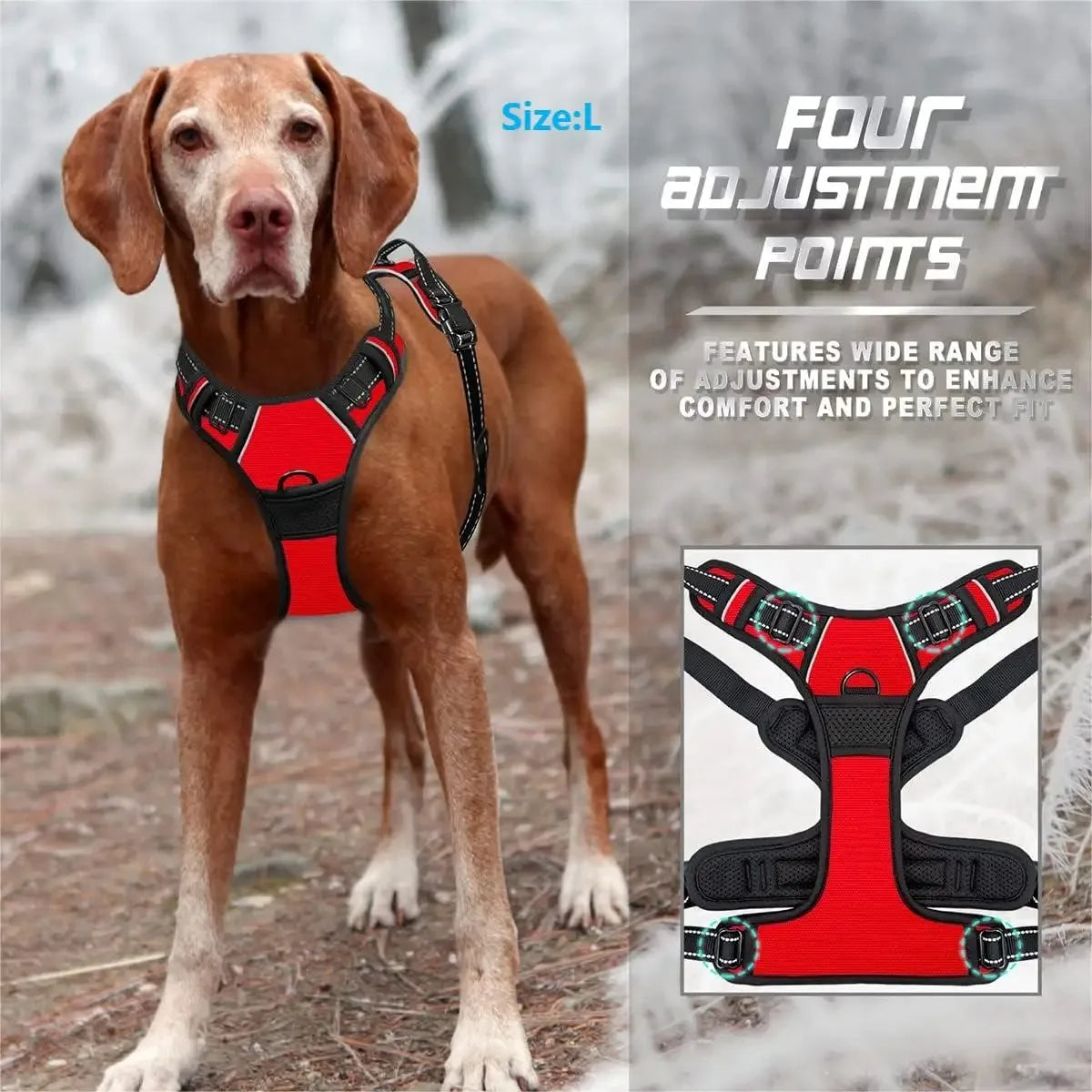 Dog Collars, Harnesses & Vests - Pet Shop