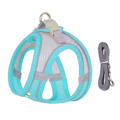 Dog Harness and Leash Set for Small Dogs