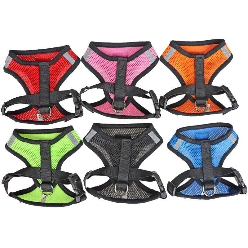 Adjustable Cat/Dog Harness with Leash